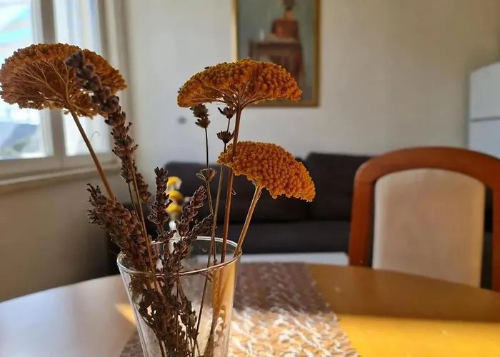 Apartman Apartmani Orebic Orebić